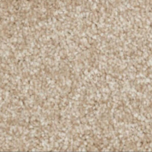 Image of Salted Beige Carpet