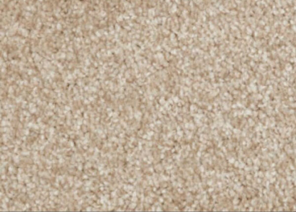 Image of Salted Beige Carpet